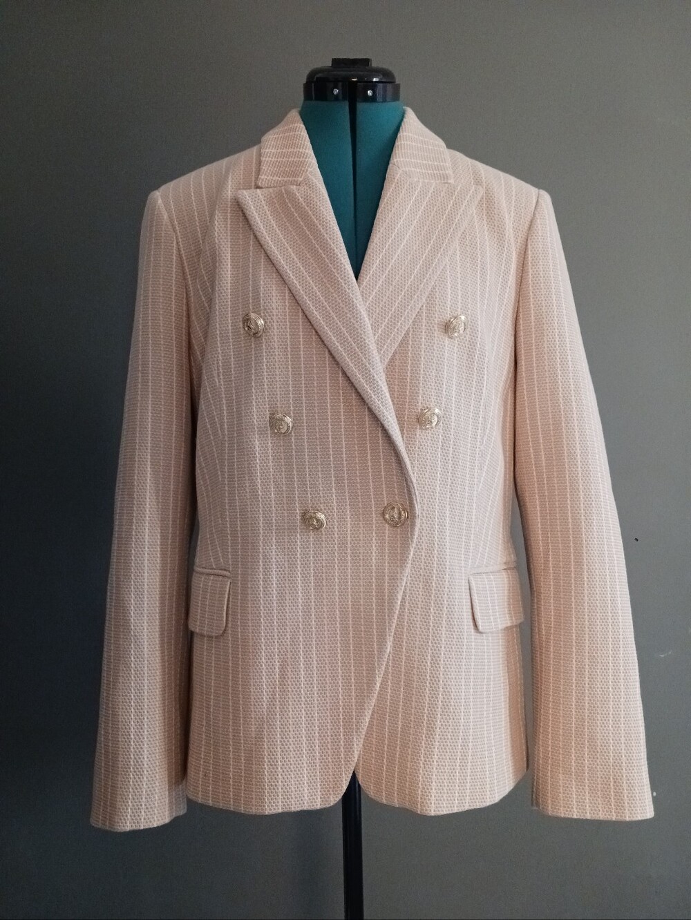 NWT Judith & Charles Rothco Sand/ Off White Striped Jacket, Blazer Size 14